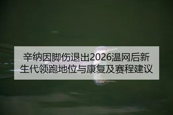 辛纳因脚伤退出2026温网后新生代领跑地位与康复及赛程建议