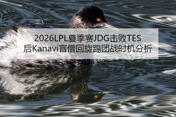 2026LPL夏季赛JDG击败TES后Kanavi盲僧回旋踢团战时机分析