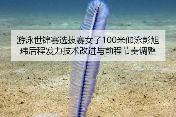 游泳世锦赛选拔赛女子100米仰泳彭旭玮后程发力技术改进与前程节奏调整