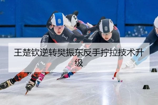 wang-chu-qin-ni-zhuan-fan-zhen-dong-fan-shou-ning-la-ji-shu-sheng-ji-2-301.jpg